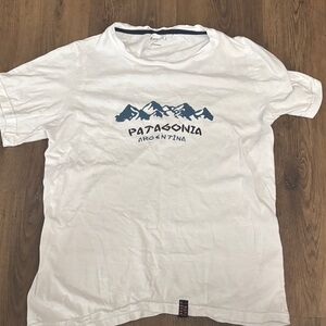 Patagonia White and Blue Mountain Tee